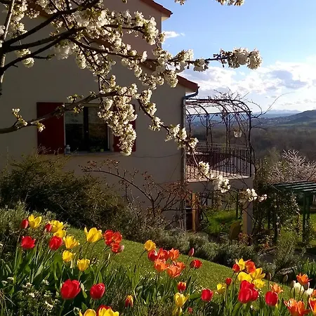 Le Balcon * Dallet