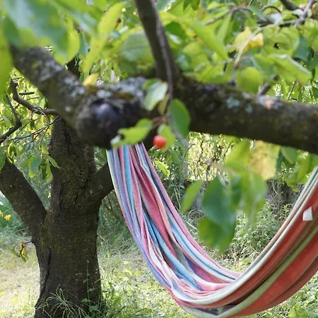 Hébergement de vacances Le Balcon Dallet